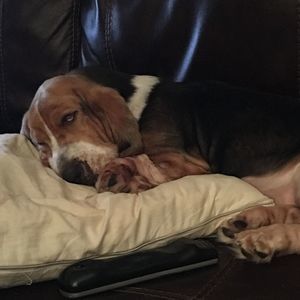 Meet your Posher, Kathy